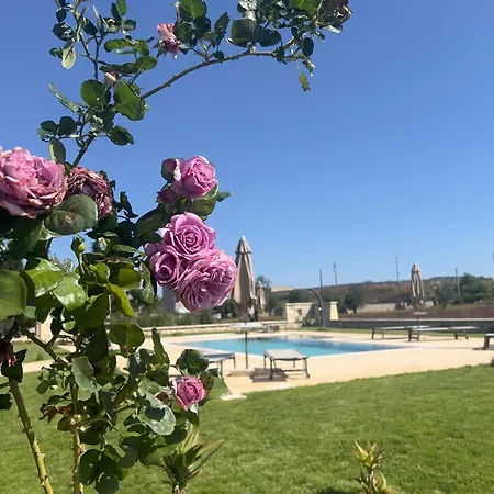 B&B Casina Montana-2